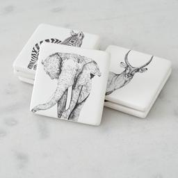 Savannah Coaster Set of 6 