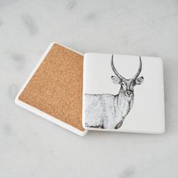 Savannah Coaster Set of 6 