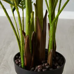 Areca Palm 190cm Decorative Plant