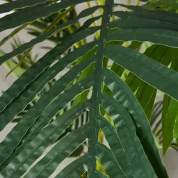 Areca Palm 190cm Decorative Plant