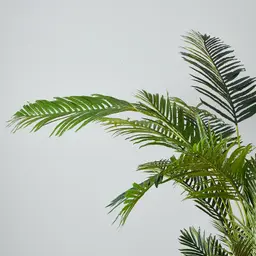 Areca Palm 190cm Decorative Plant