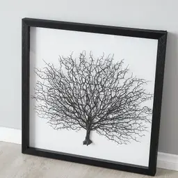 Black Sea Fan Shadow Box Frame