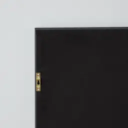 Brass Colour Sea Fan Shadow Box Frame