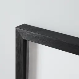 Brass Colour Sea Fan Shadow Box Frame