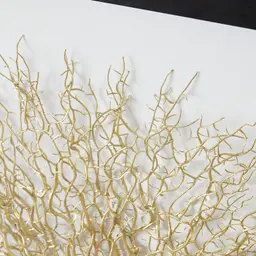 Brass Colour Sea Fan Shadow Box Frame