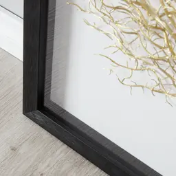 Brass Colour Sea Fan Shadow Box Frame