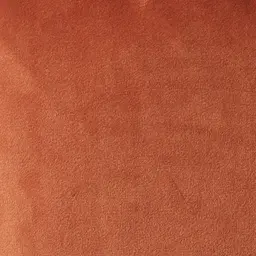 Remi Rust Velvet Cushion
