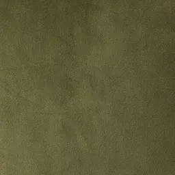 Remi Grass Green Velvet Cushion 