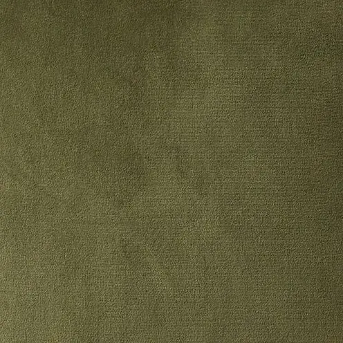 Remi Grass Green Velvet Cushion 