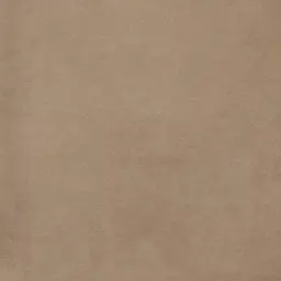 Remi Beige Velvet Cushion