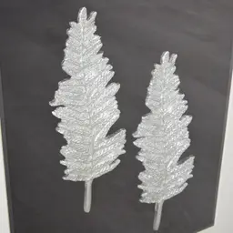 Cycas Silver Leaf Shadow Box 