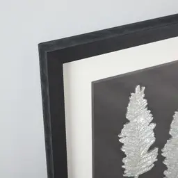 Cycas Silver Leaf Shadow Box 