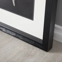 Cycas Silver Leaf Shadow Box 