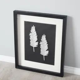 Cycas Silver Leaf Shadow Box 