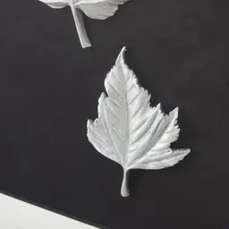 Maple Silver Leaf Shadow Box 