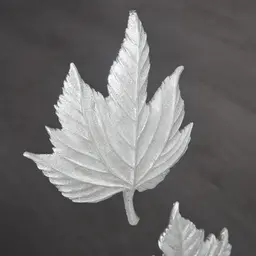 Maple Silver Leaf Shadow Box 