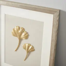 Ginkgo Gold Leaf Shadow Box 