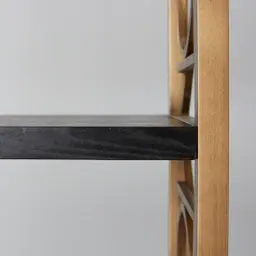 Eugenie Black Wooden Veneer Bookshelf