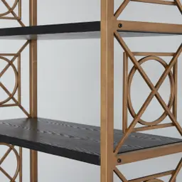 Eugenie Black Wooden Veneer Bookshelf