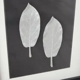 Sallow II Silver Leaf Shadow Box 