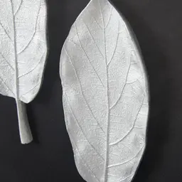 Sallow II Silver Leaf Shadow Box 