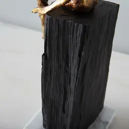 Mauritius Decorative