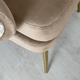 Anya Beige Velvet with Back Pattern Occasional Chair