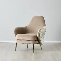 Anya Beige Velvet with Back Pattern Occasional Chair