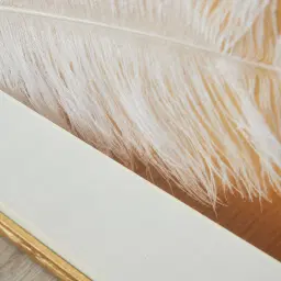 White Quills Shadow Box 