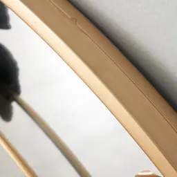 Round Gold Ginkgo Mirror