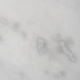 Masa Natural White Marble Dining Table  - Black Legs 150cm