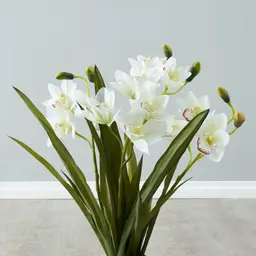 Phalaenopsis Decorative 64cm - With Planter 
