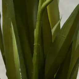 Phalaenopsis Decorative 64cm - With Planter 