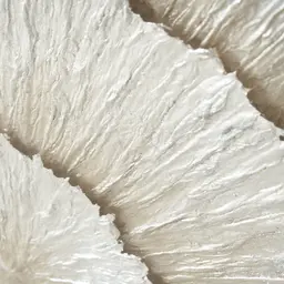 Leilani Silver and Black Paper Shadow Box 