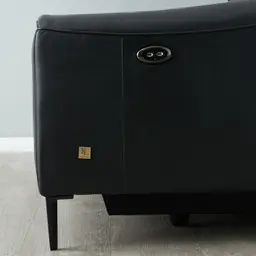 Bruce Black Leather 2-Seater Electric Recliner 