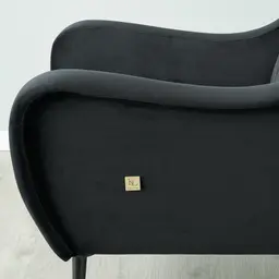 Roosevelt Black Velvet Occasional Chair