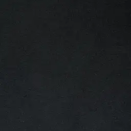 Roosevelt Black Velvet Occasional Chair