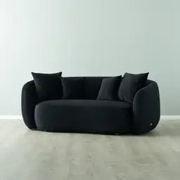 Everett Onyx Black Velvet 2 Seater Sofa