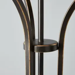 Divine Gilded Dark Bronze Floor Lamp