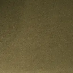 Daniella Olive Green Occasional Chair