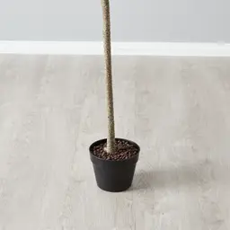 130cm Marginata Red Dracaena Decorative Plant With Pot