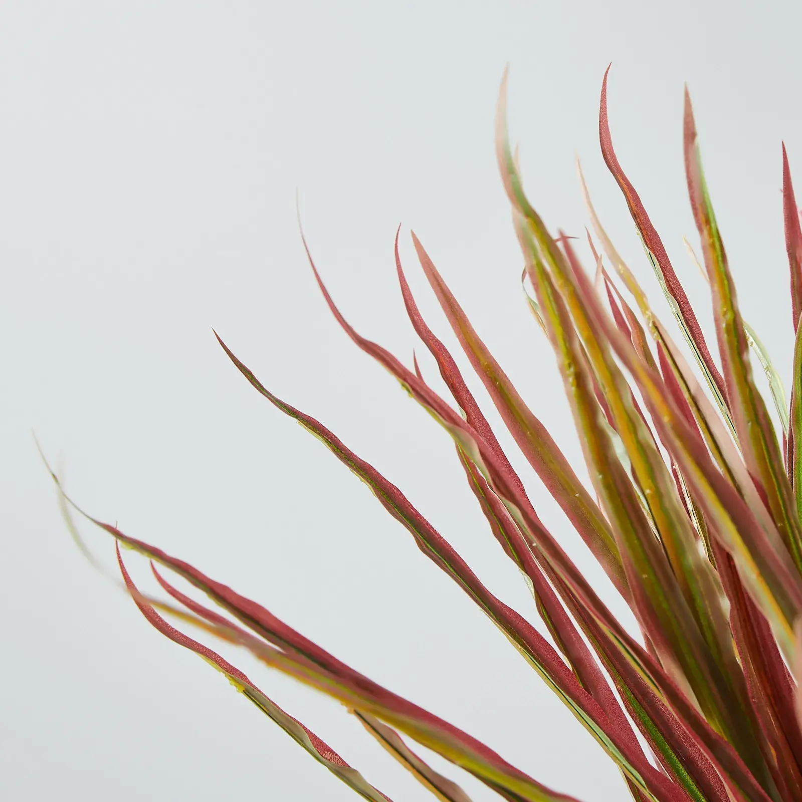 65cm Marginata Red Dracaena Decorative Plant With Pot