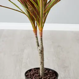 65cm Marginata Red Dracaena Decorative Plant With Pot