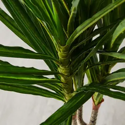 95cm Marginata Green Dracaena Decorative Plant With Pot