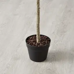 95cm Marginata Green Dracaena Decorative Plant With Pot