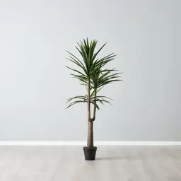 180cm Yucca Decorative Plant with Pot