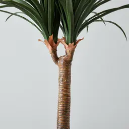 125cm Nolina Recurvata Decorative Plant With Pot