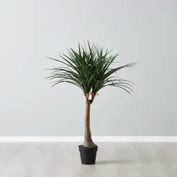 125cm Nolina Recurvata Decorative Plant With Pot