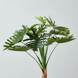 120cm Philodendron Decorative With Plot