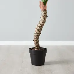 120cm Philodendron Decorative With Plot